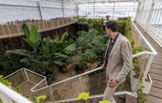 Visie, duurzaamheid en gezondheid staat centraal bij Koppert Cress