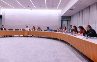 Erkens: ‘Ierse kalveren onwenselijk, maar verbod kan niet’