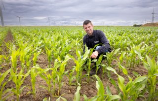 ‘Het is nu druk, maar zelf zaaien blijft een mooie hobby’
