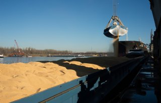 Nederlandse weigering Argentijns sojameel verstoort wereldhandel