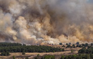 Overlast door natuurbrand Veluwe, generiek advies dierenwelzijn lastig af te geven