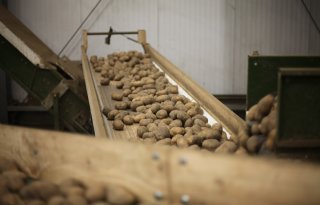 Agrico-telers leveren 10.000 euro per hectare in