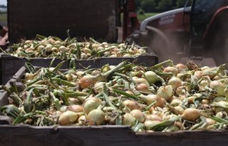 Uiensector verlengt praktijkonderzoek tot 2029