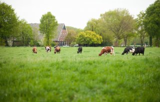 IBR-aanpak: neem geen risico bij aankoop en contacten