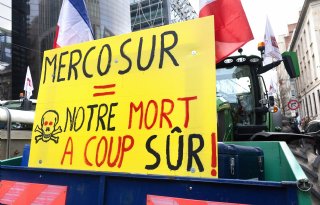 Mercosur-verdrag voorlopig in werking getreden