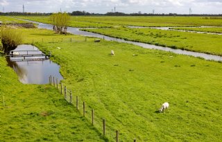 Project toont zorgwekkende conditie veenweidesloten