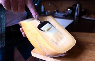 CONO houdt melkprijs april gelijk