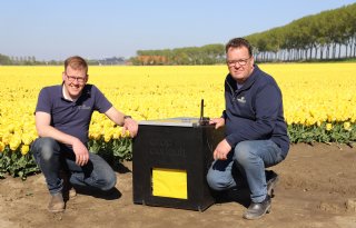 Luizenteller geeft Zuid-Hollandse telers meer grip