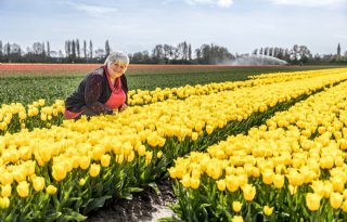 ‘Kritiek mag, maar denk ook mee over oplossingen’
