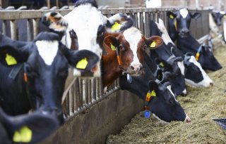 Zoektocht naar nieuwe Klasseboeren in Zeeland