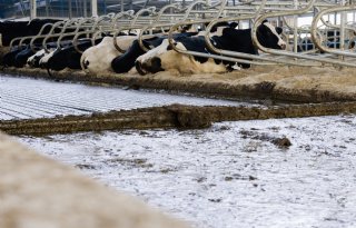 Met gerichte aanpak is veel reductie haalbaar in melkveehouderij