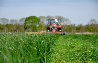 Ondernemers hebben weinig vertrouwen in Nederlandse economie