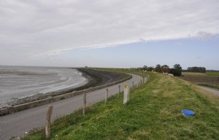 Gezond Water wil verbod op PFAS-houdende gewasbeschermingsmiddelen in Zeeland