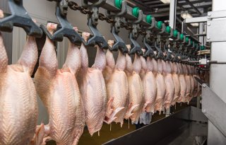 Export varkensvlees VS stijgt naar 7,8 miljard pond in 2035