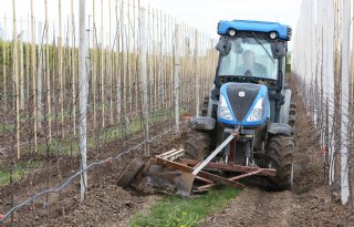 Fruitteler drukt grond vast voor betere start appelbomen