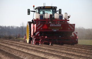 Aardappeltelers verliezen grip op afzet