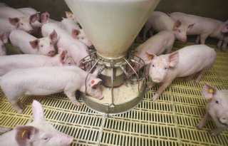 Sturen op lage kosten is vooral mogelijk via flexibel voeren