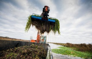 Waterschap richt zich tot boeren: help mee met aanpak invasieve planten