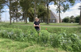 Noodkreet zorgboeren aan Haagse politiek: ‘Geef ons ruimte’