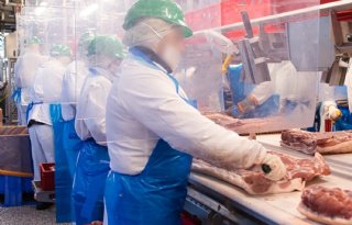 ‘Sectoraal uitleenverbod voor vleesindustrie schiet zijn doel totaal voorbij’