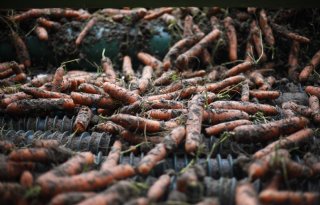 Peenmarkt stort in elkaar door onverwacht groot aanbod