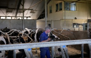 Melkprijs onder druk, maar investeringen lopen door