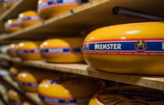 Melkprijs CONO Kaasmakers plust 50 eurocent