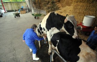Genomics neemt grote vlucht in fokkerij