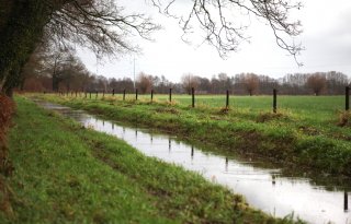 Raad van State verwerpt bezwaren van boeren tegen natuurherstel Dinkelland