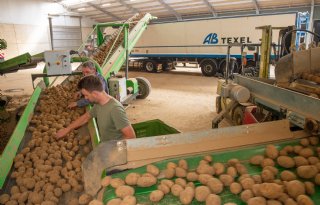 Aardappeltelers hebben het nakijken bij naleving contract