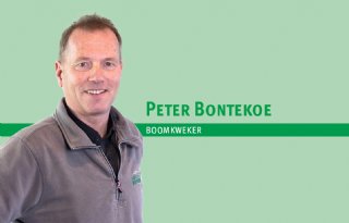 ‘Geen btw-verhoging maar btw-vrijstelling’