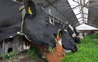 Teleurstelling over strenge kabinetsnorm voor grondgebondenheid