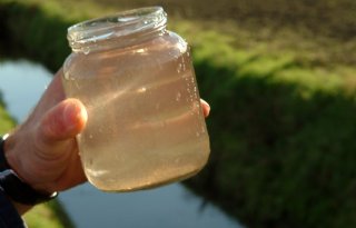 Waterschap gaat bollentelers controleren na vondst overschot aan ontsmettingsmiddelen