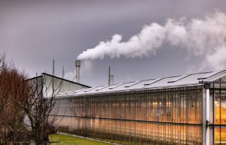 Rabobank: verwachte productiedaling zet landbouwsector onder druk