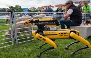 Robot als waakhond voor gezondheid schaap