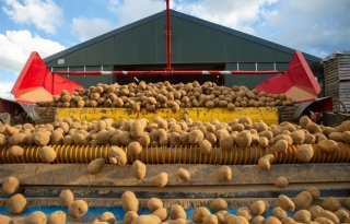 PotatoNL noteert alleen voor verse frites