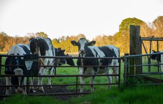 ‘Zonering van 1 kilometer rondom grote natuurgebieden’
