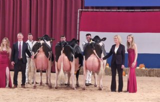 Drie juryleden voor HHH-Show Leeuwarden