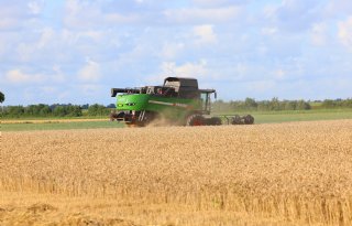 Marges in akkerbouw dalen naar laagste niveau in vijf jaar