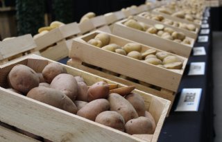 Agrarische sector blij met Europees besluit: ‘Historische doorbraak voor land- en tuinbouw’