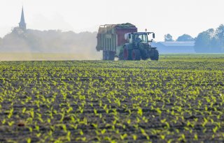 Met wisselteelt minder middelen en mest nodig voor mais