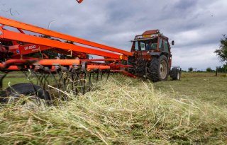 10 hectare gras harken voor de droge koeien