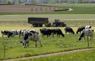 2,5 miljoen euro voor watermaatregelen op Limburgse landbouwgrond