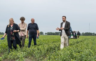 Staatssecretaris Silvio Erkens trekt lessen uit de lelieteelt