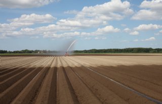 Opslag zoet water moet Zeeuwse boeren de zomer door helpen