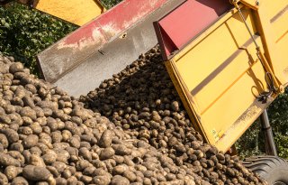 Duitsland importeert twee keer zo veel Nederlandse aardappelen