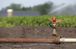Oogstprognose 2026: droogte neemt toe, minder tarwe en aardappelen