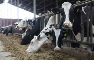 Stoppersregelingen goed voor daling stikstofuitstoot van 9 procent