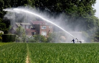 ‘Pas op met overdag beregenen, je kunt een gewas om zeep helpen’