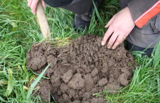 Succes regeneratieve landbouw sterk afhankelijk van regio en bedrijf